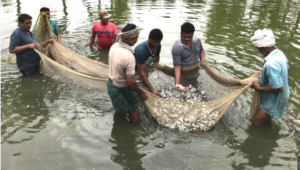 FISH FARMING YOJANA 2025