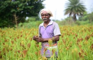 GOPAL CREDIT CARD SCHEME